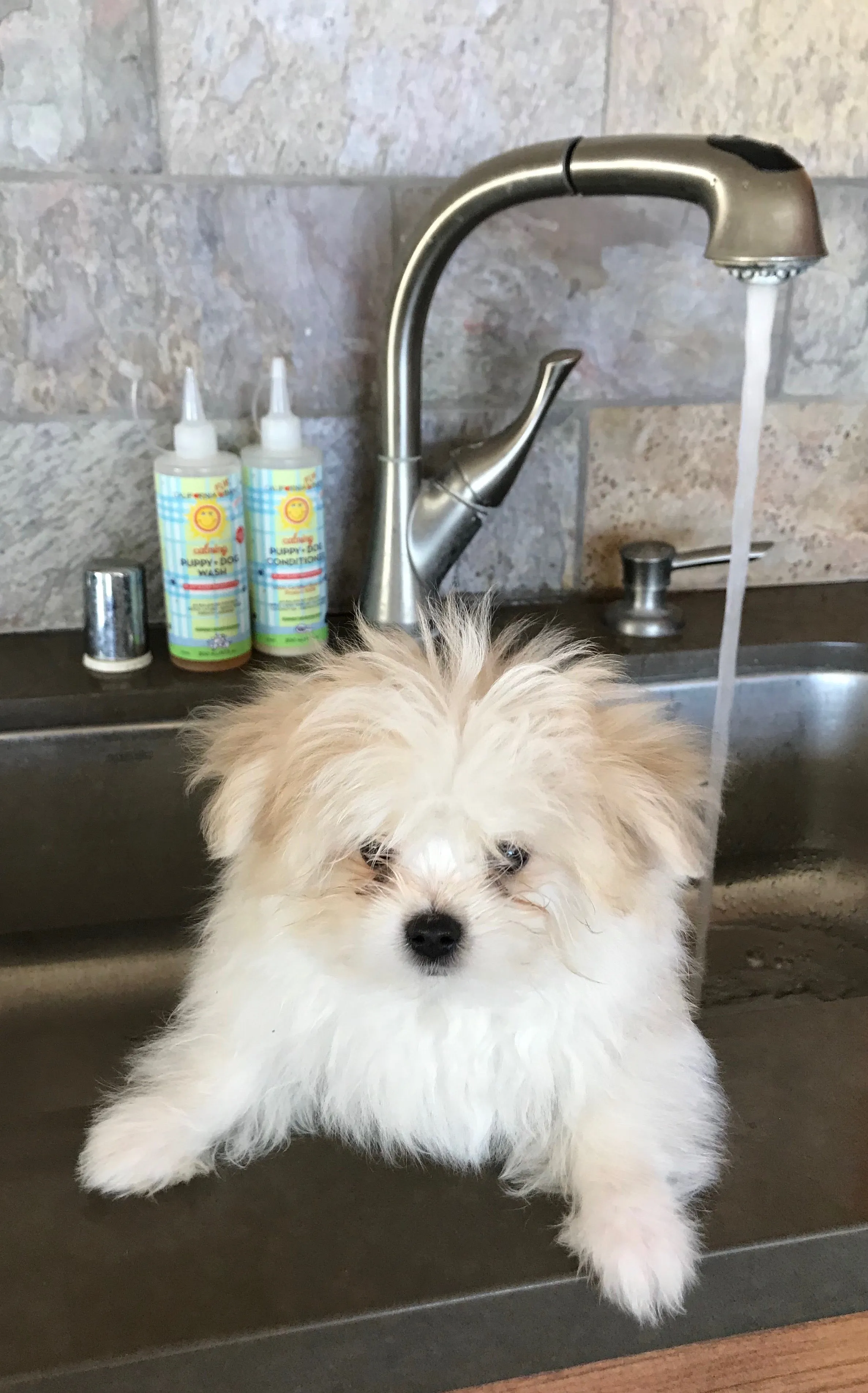 Calming™  Puppy   Dog Conditioner